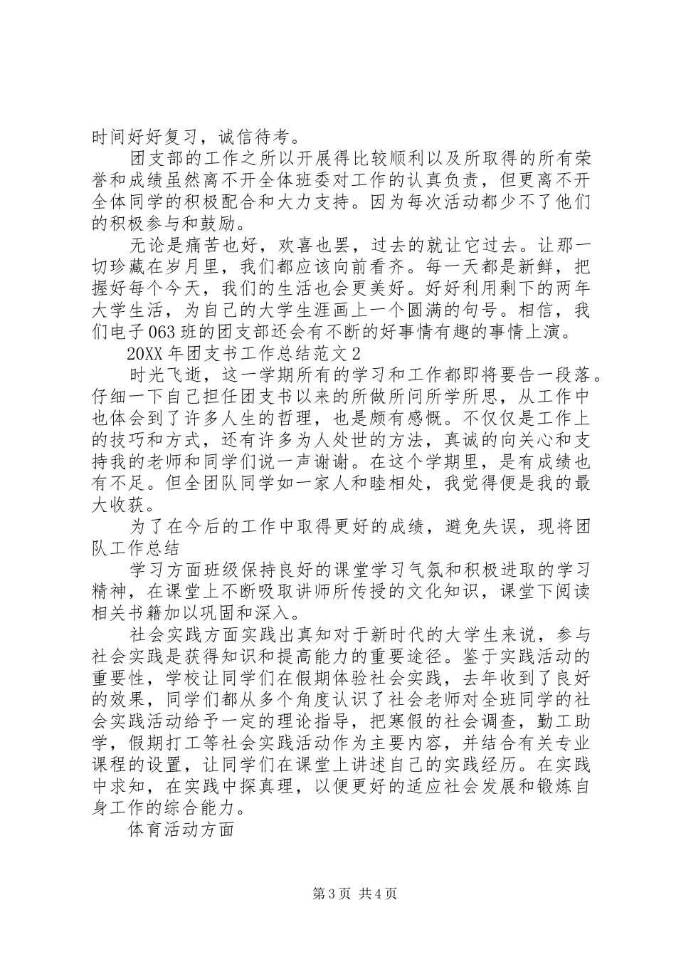 2024年团支书工作总结_第3页