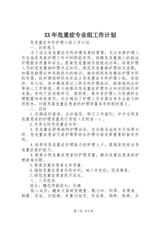 2024年危重症专业组工作计划