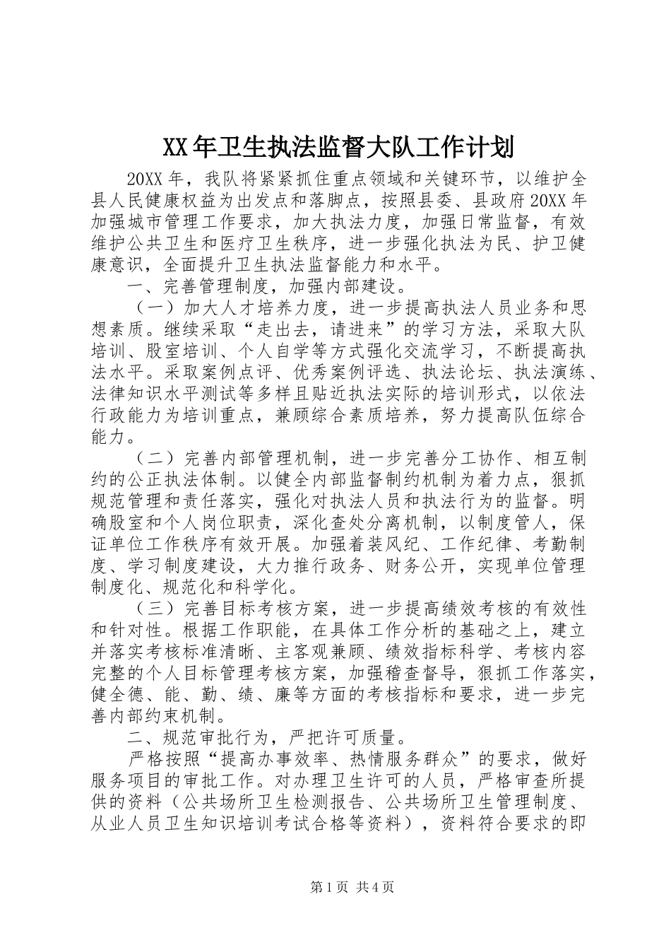 2024年卫生执法监督大队工作计划_第1页