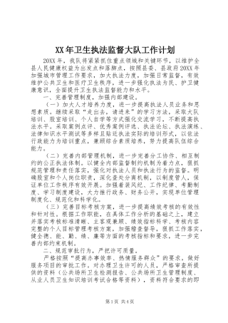 2024年卫生执法监督大队工作计划