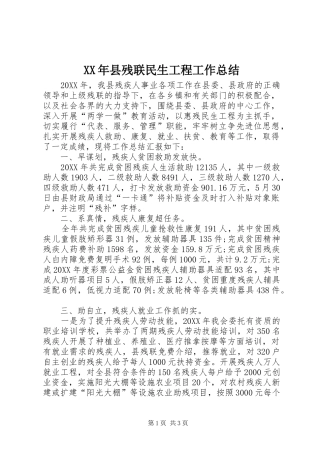2024年县残联民生工程工作总结