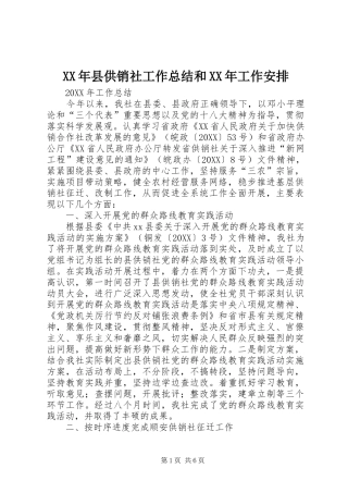2024年县供销社工作总结和工作安排