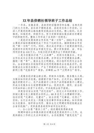2024年县供销社领导班子工作总结