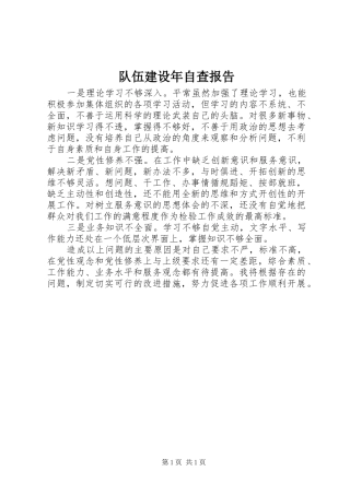 2024年队伍建设年自查报告