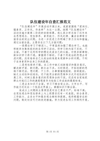 2024年队伍建设年自查汇报范文