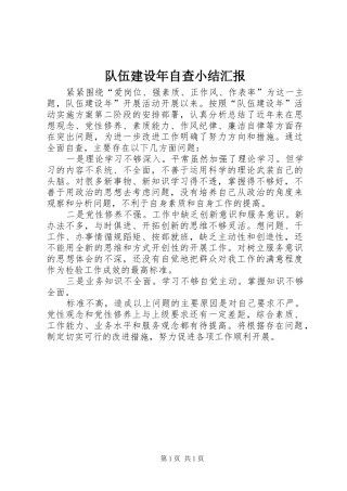 2024年队伍建设年自查小结汇报