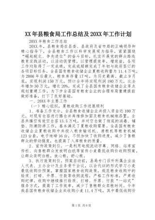 2024年县粮食局工作总结及工作计划