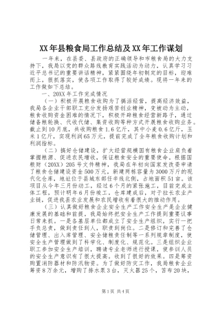 2024年县粮食局工作总结及工作谋划