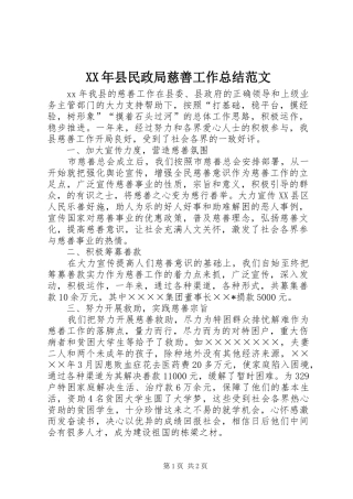 2024年县民政局慈善工作总结范文