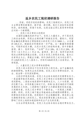 2024年返乡农民工现状调研报告
