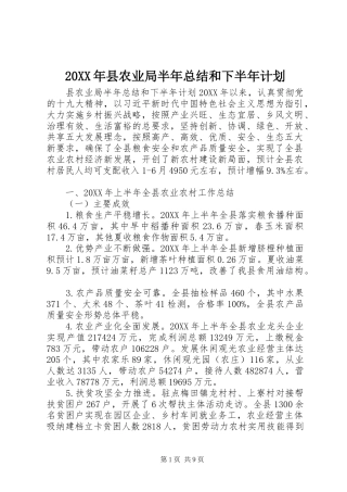 2024年县农业局半年总结和下半年计划