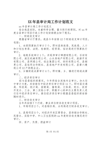 2024年县审计局工作计划范文