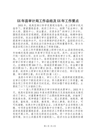 2024年县审计局工作总结及工作要点