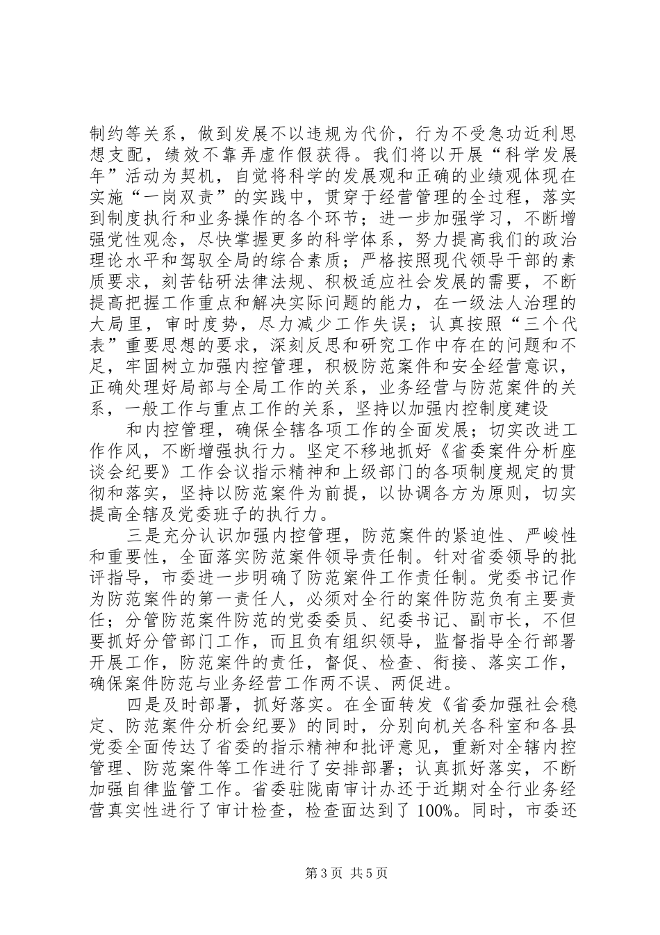 2024年防范案件检查书_第3页