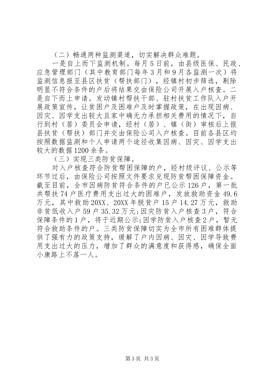 2024年防范返贫工作总结_第3页