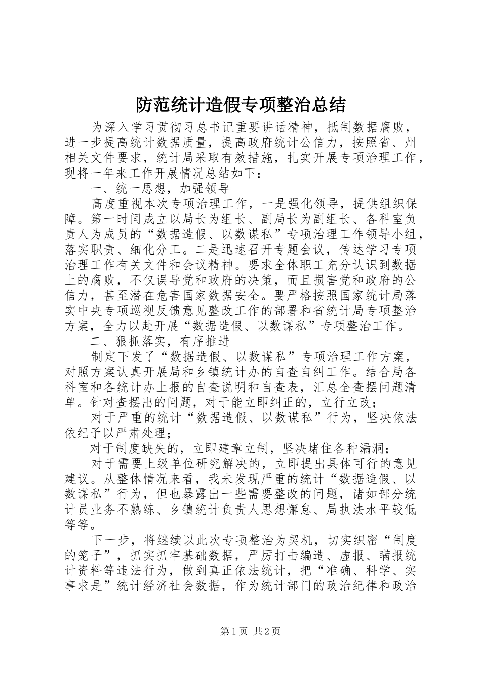 2024年防范统计造假专项整治总结_第1页