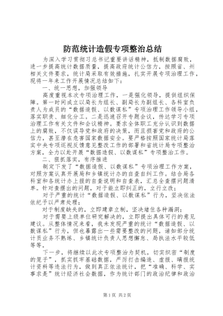 2024年防范统计造假专项整治总结