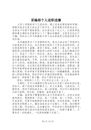 2024年采编部个人述职述廉