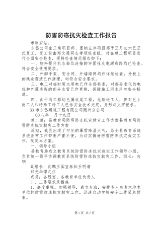 2024年防雪防冻抗灾检查工作报告