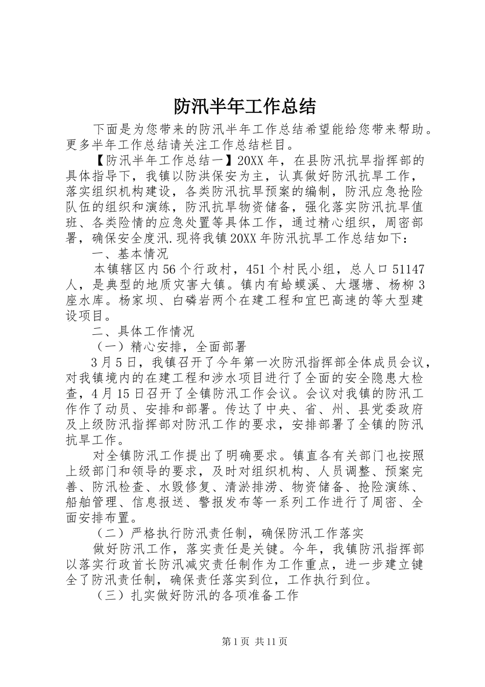2024年防汛半年工作总结_第1页