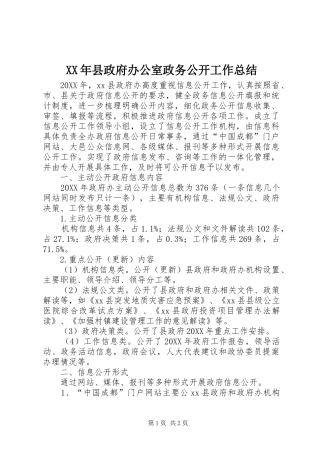 2024年县政府办公室政务公开工作总结