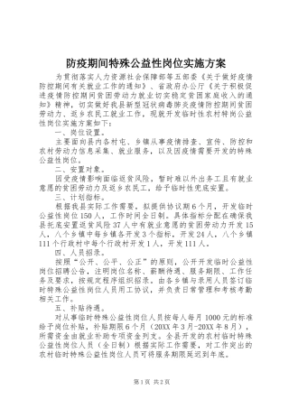 2024年防疫期间特殊公益性岗位实施方案