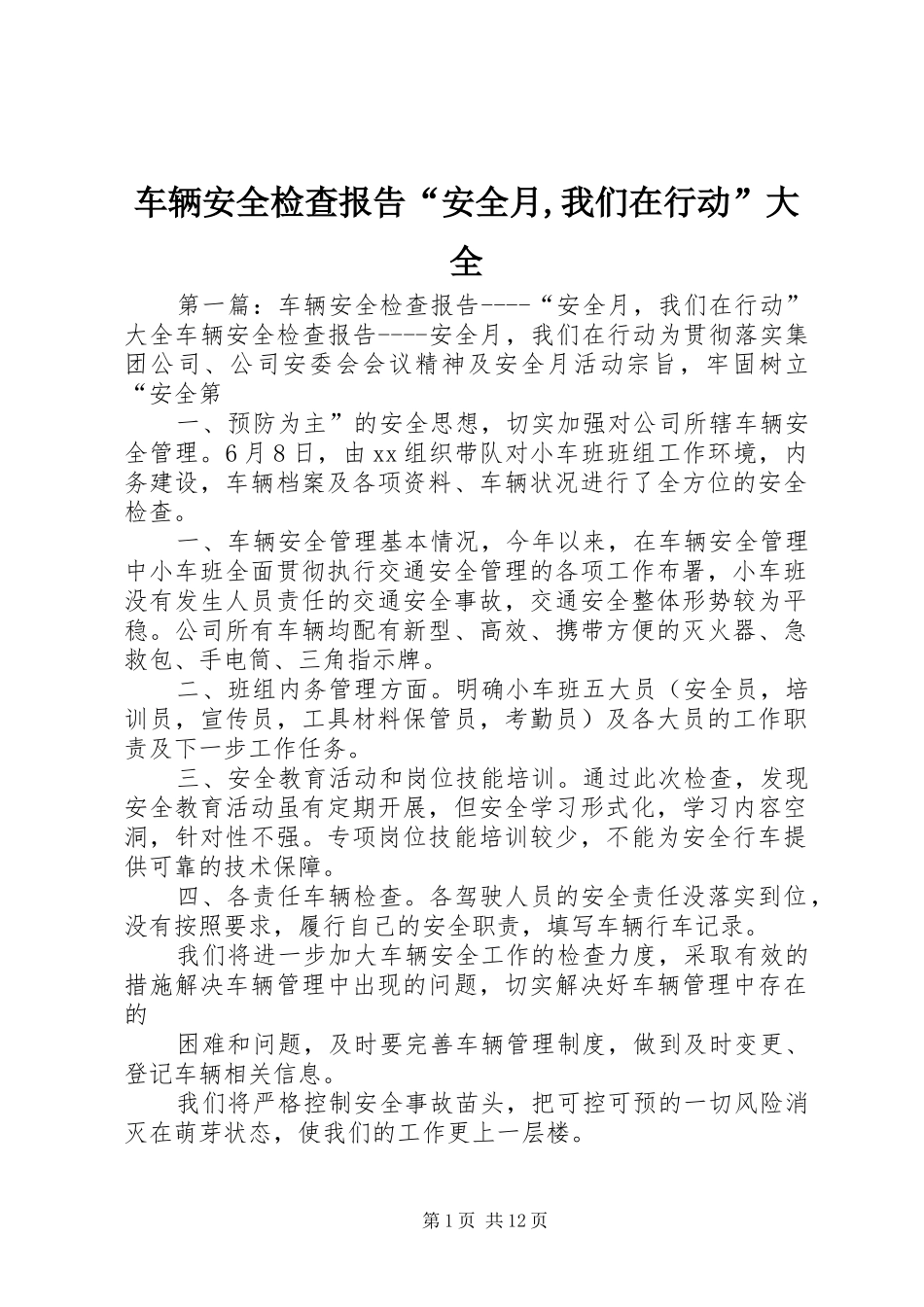2024年车辆安全检查报告安全月我们在行动大全_第1页
