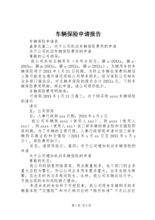 2024年车辆保险申请报告