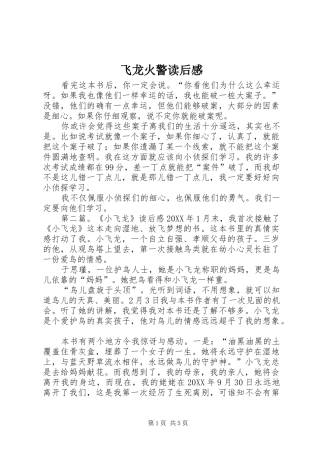 2024年飞龙火警读后感