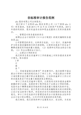2024年非标准审计报告范例