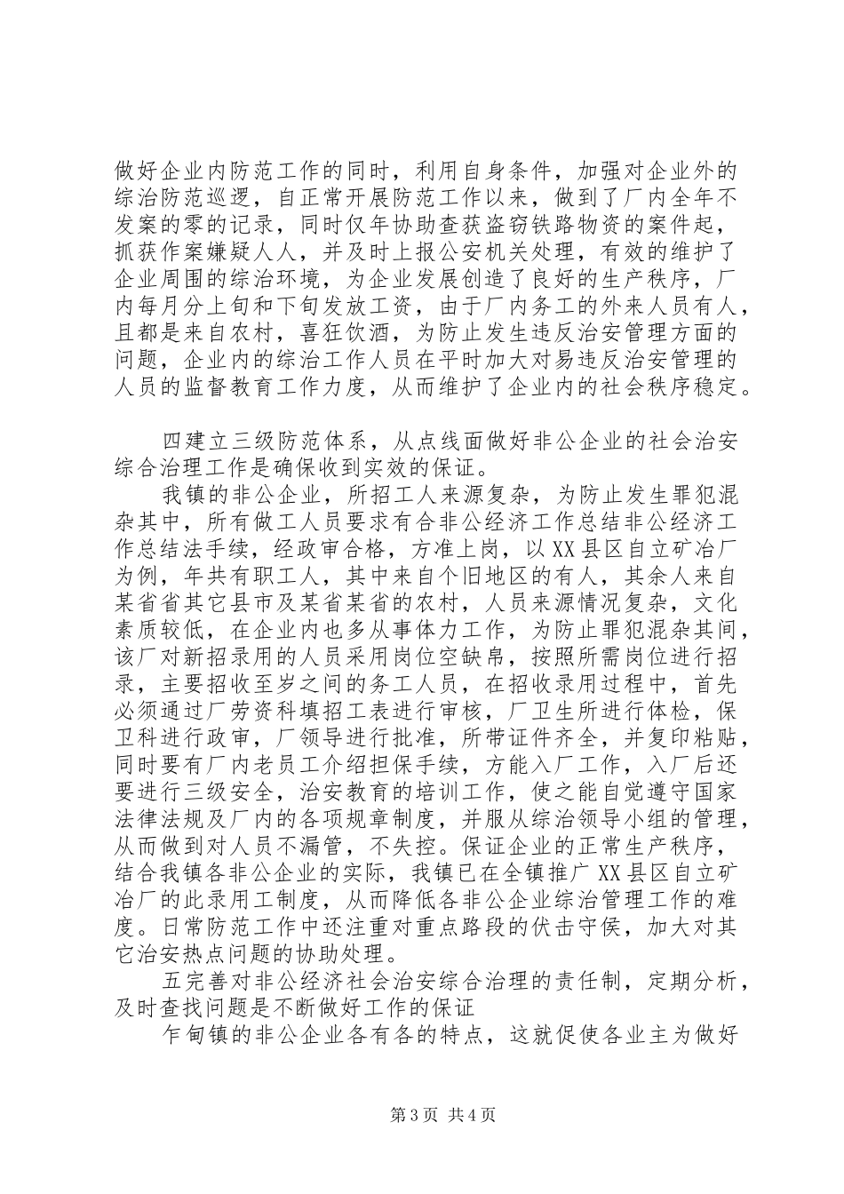 2024年非公经济工作总结_第3页