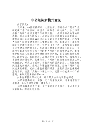 2024年非公经济新模式意见