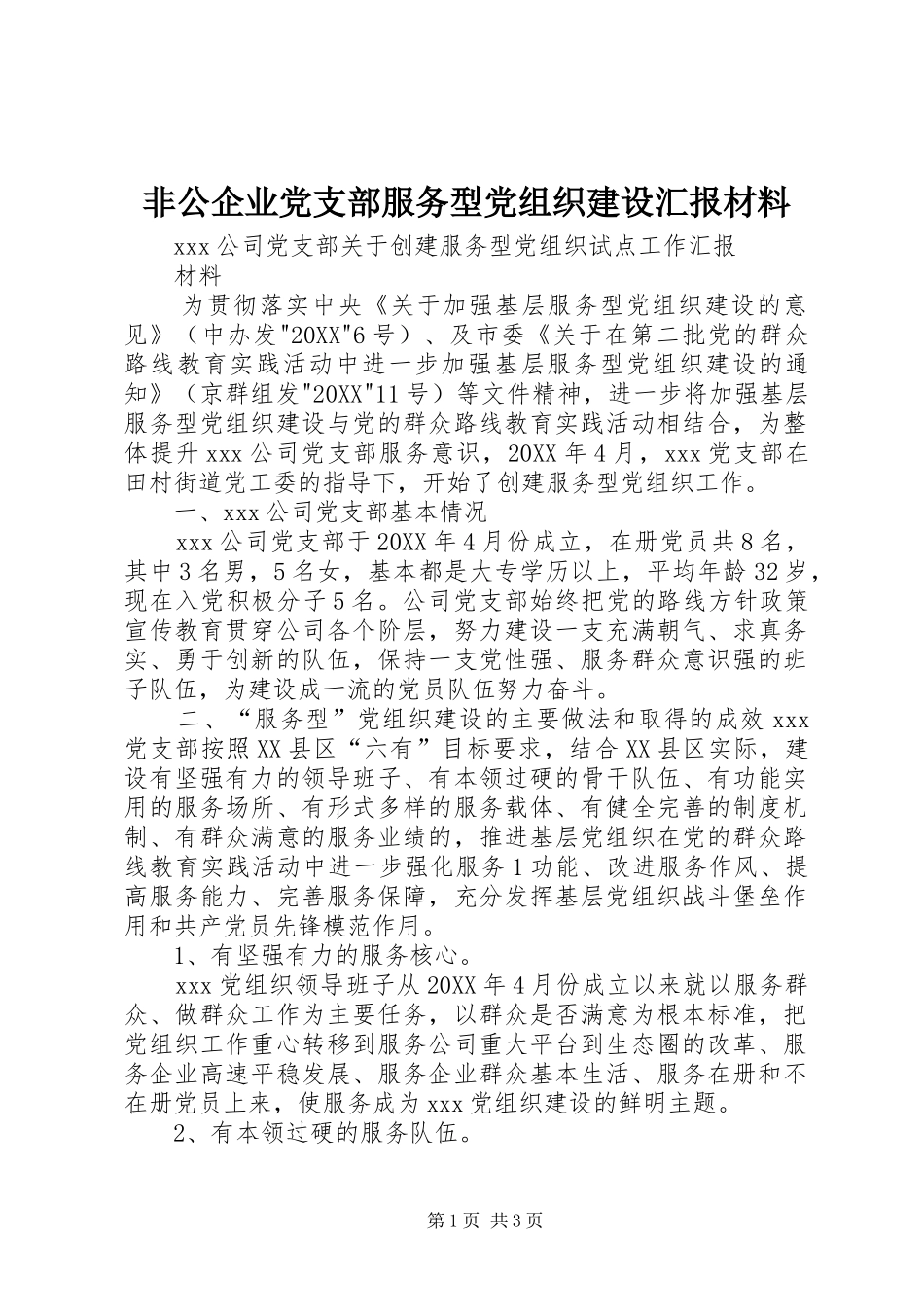 2024年非公企业党支部服务型党组织建设汇报材料_第1页
