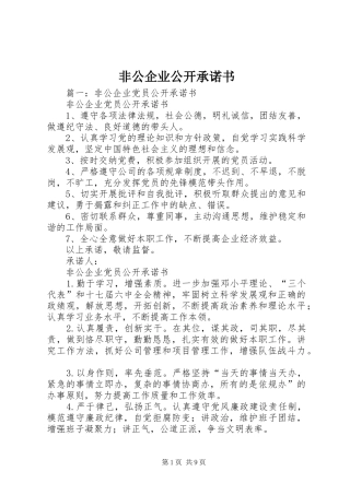 2024年非公企业公开承诺书