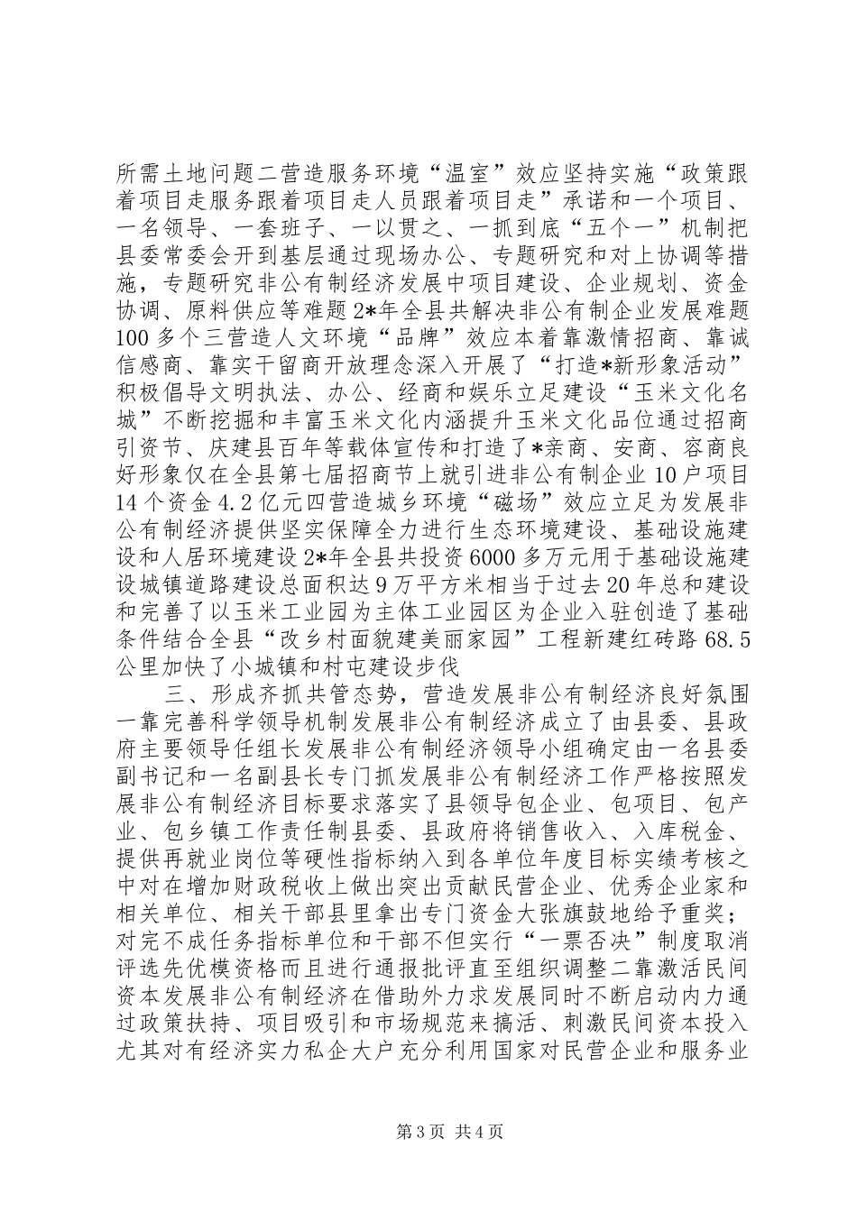 2024年非公有制经济发展交流材料_第3页