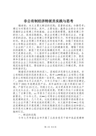 2024年非公有制经济特派员实践与思考