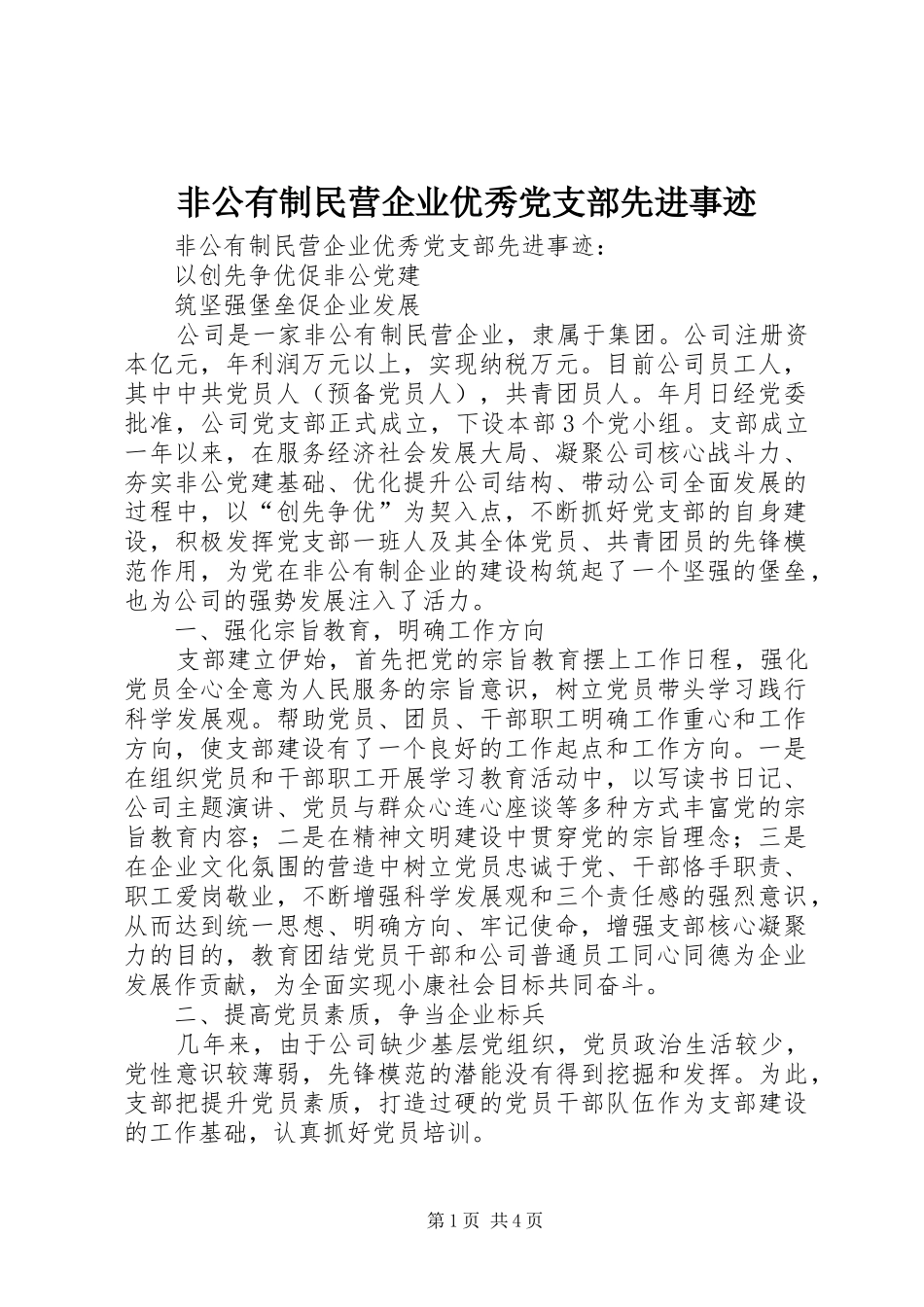 2024年非公有制民营企业优秀党支部先进事迹_第1页