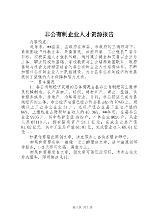 2024年非公有制企业人才资源报告