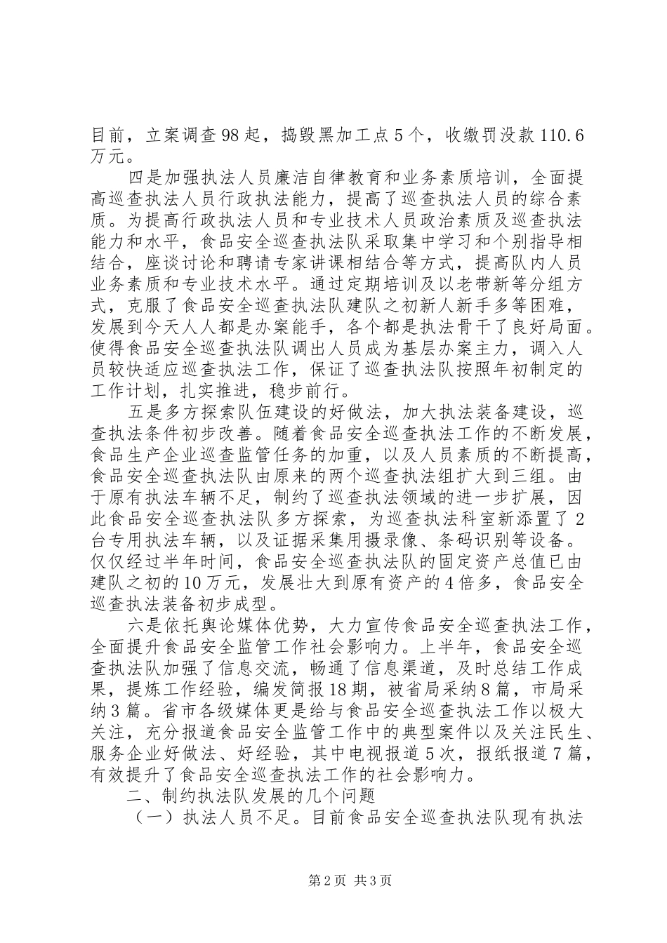 2024年巡查执法队工作总结范文_第2页