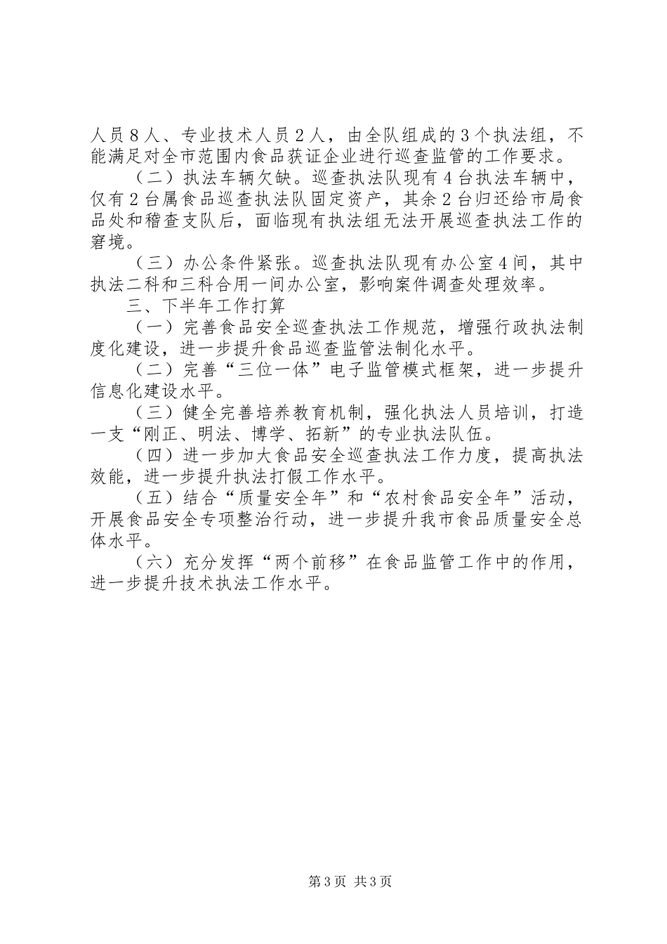 2024年巡查执法队工作总结范文_第3页