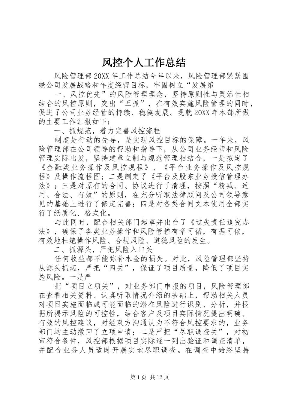 2024年风控个人工作总结_第1页