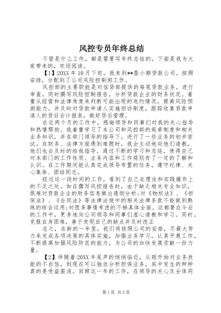 2024年风控专员年终总结