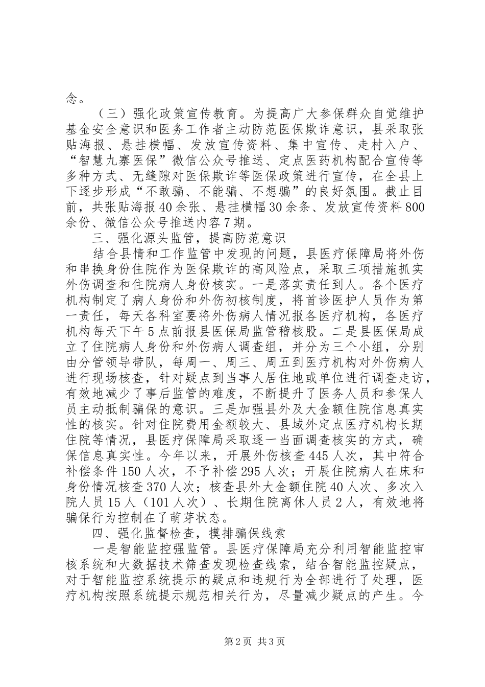 2024年医疗保障基金专项治理总结_第2页