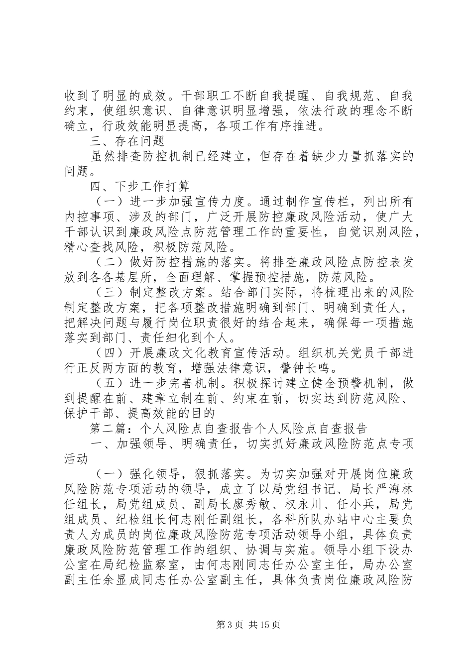 2024年风险点自查报告_第3页