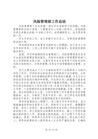 2024年风险管理部工作总结