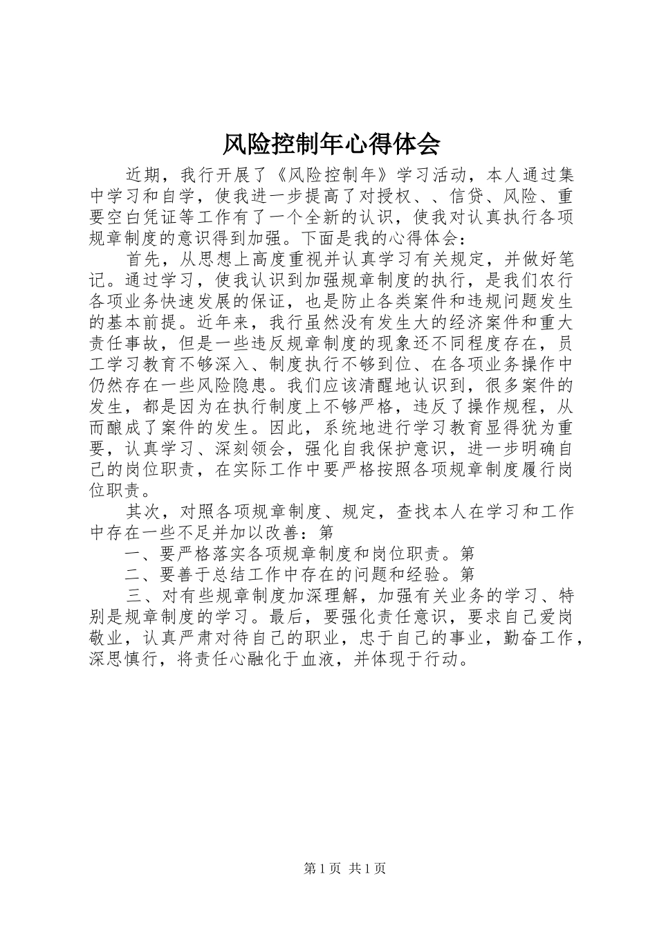 2024年风险控制年心得体会_第1页