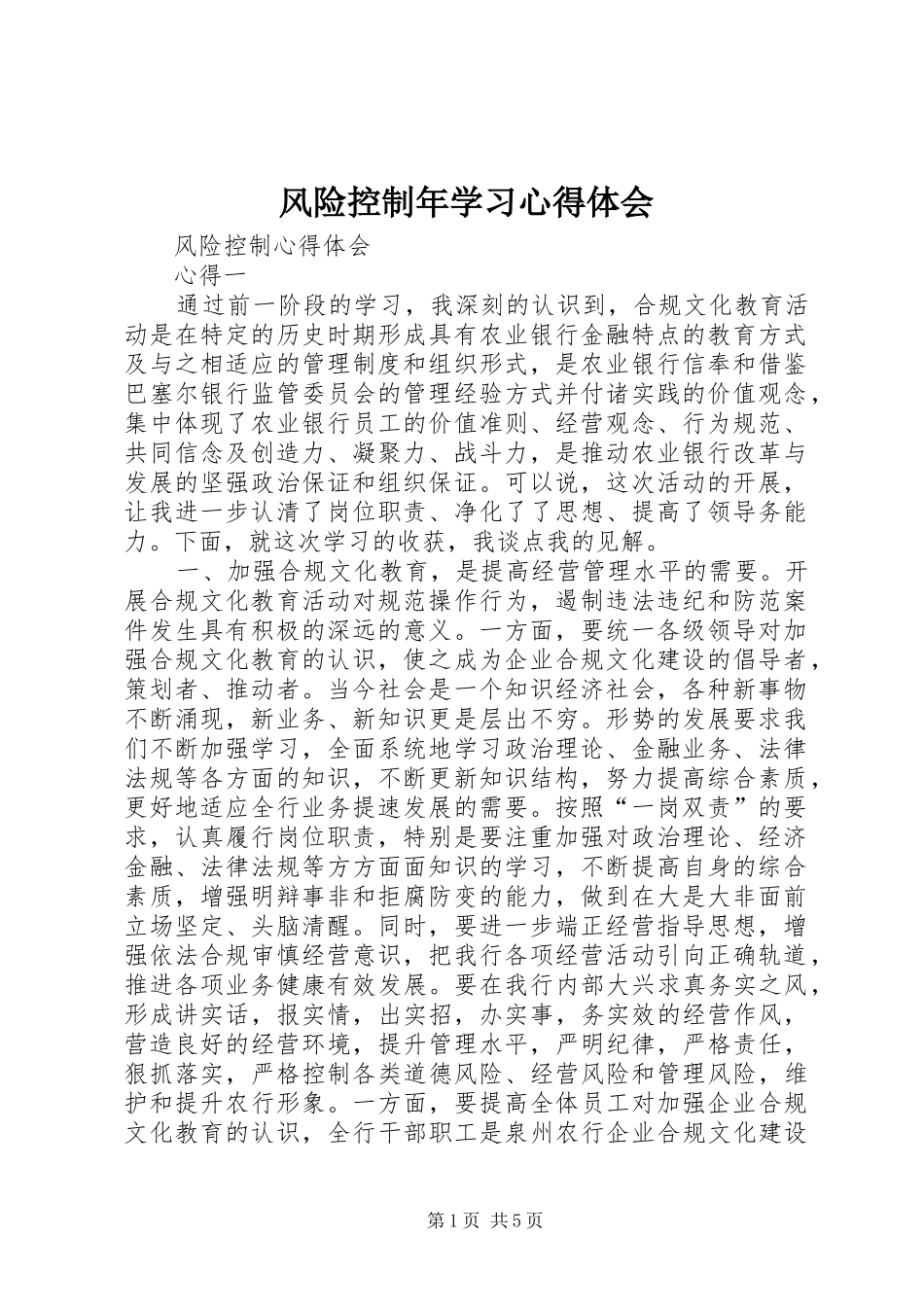 2024年风险控制年学习心得体会_第1页