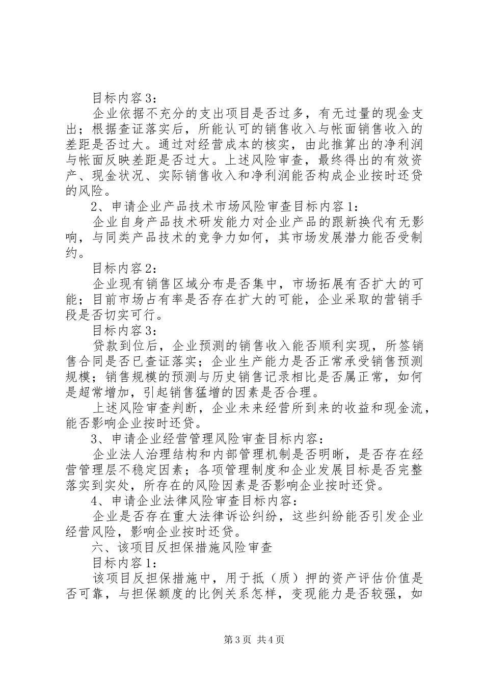 2024年风险审查报告书_第3页