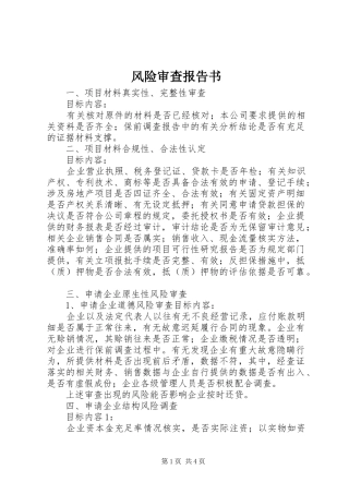 2024年风险审查报告书