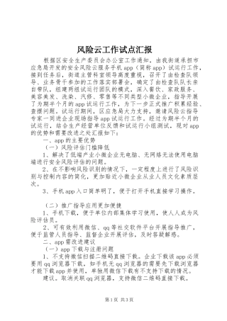 2024年风险云工作试点汇报